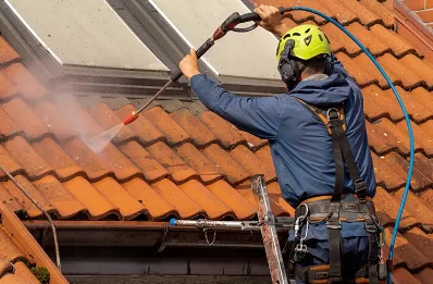 Démoussage et hydrofuge de toiture à Rivas